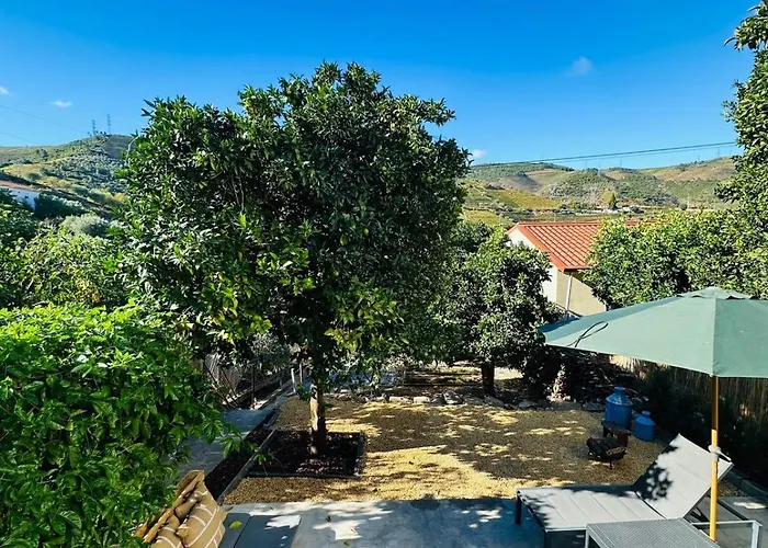 Casa Terras Do Douro *